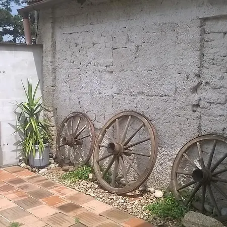 Séjour chez l'habitant Ubytovani Pavla *